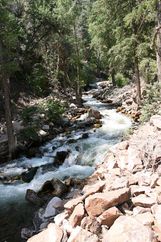 2008 White Family Reunion at Big Rock Candy Mountain, Utah